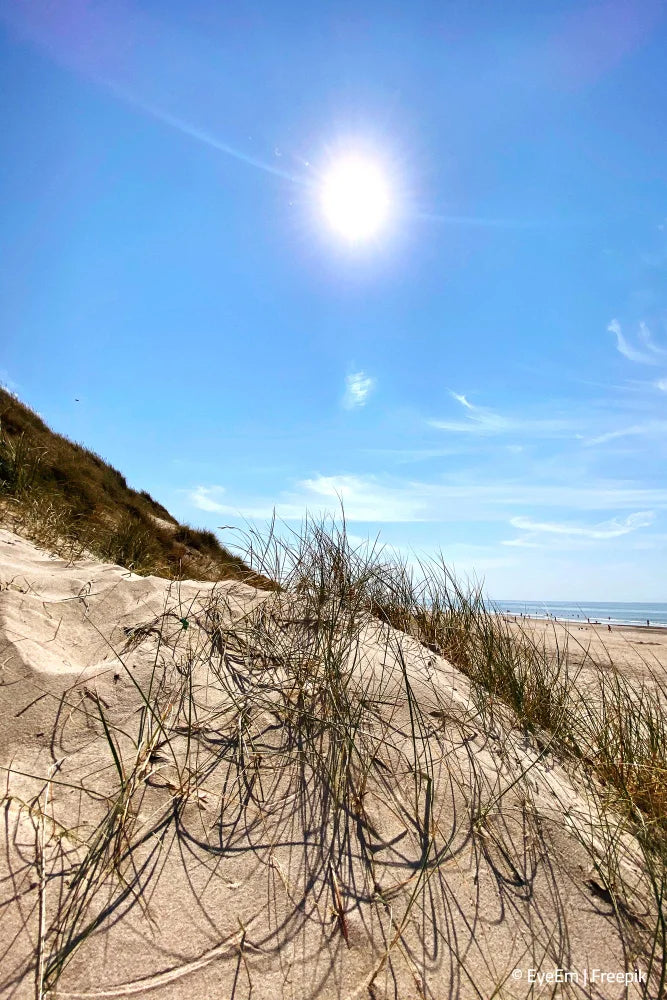 Sonne & Meer • Urlaub am Traumstrand