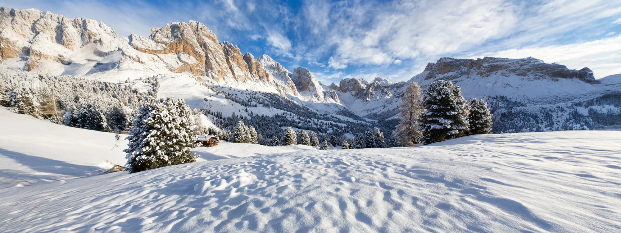 Winterreisen