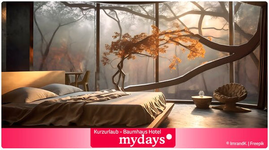 Kurzurlaub Baumhaus Hotel