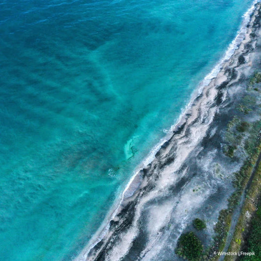 Thalasso Kur am Meer