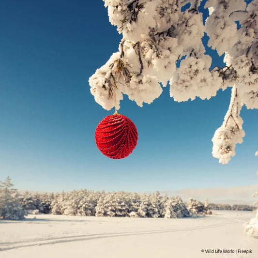 Winterlandschaft mit Christbaumkugel