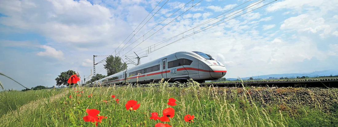 Günstiger Bahnurlaub im Hochsommer: Ameropa Last Minute Bahn buchen