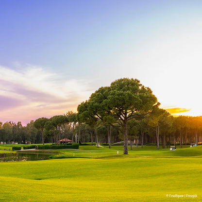 Golfplatz Bäume