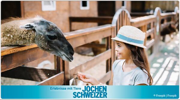 Tiere -Erlebnisse