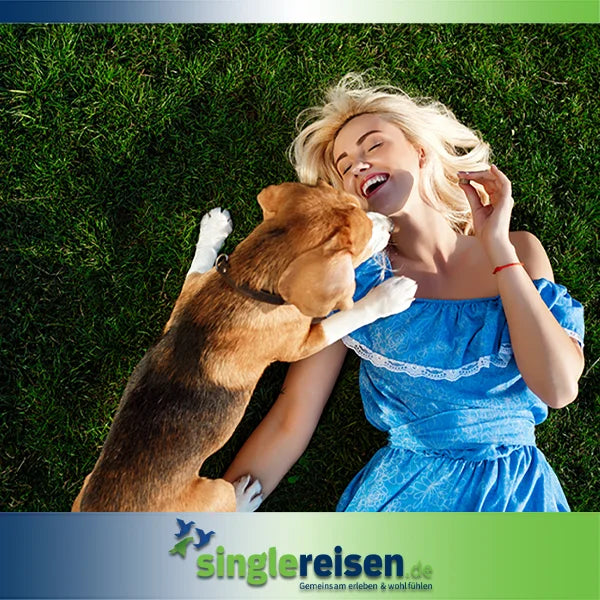 Eine lachende blonde Frau im blauen Kleid liegt auf einer grünen Wiese, während ein Beagle-Hund freudig an ihr hochspringt – Singlereisen mit Hund auf singlereisen.de.