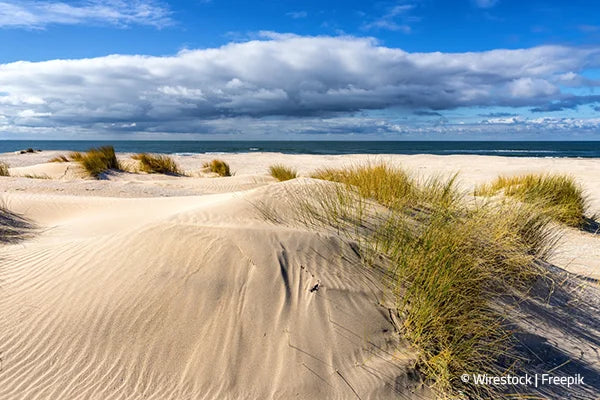 Sonne & Meer - Strandurlaub Teaser
