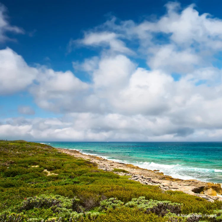 Strand Meer